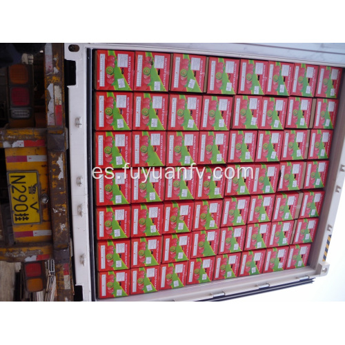 Calidad estándar de exportación de manzana fresca Fuji